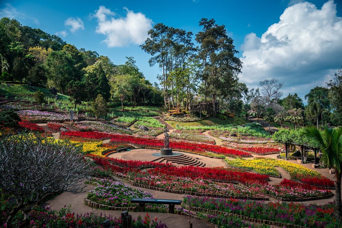 Trip cover: แม่สลอง 2 วัน 1 คืน — ไร่ชา 101 + หมู่บ้านอาข่า