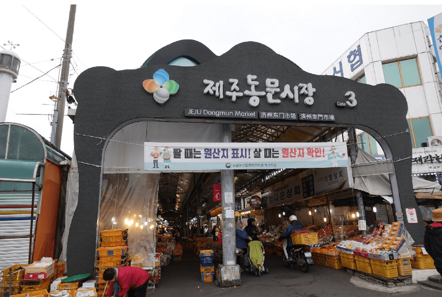 Trip cover: เกาะเชจู 3 วัน 2 คืน — ฮัลลาซาน + Seongsan Ilchulbong + หมูดำ BBQ